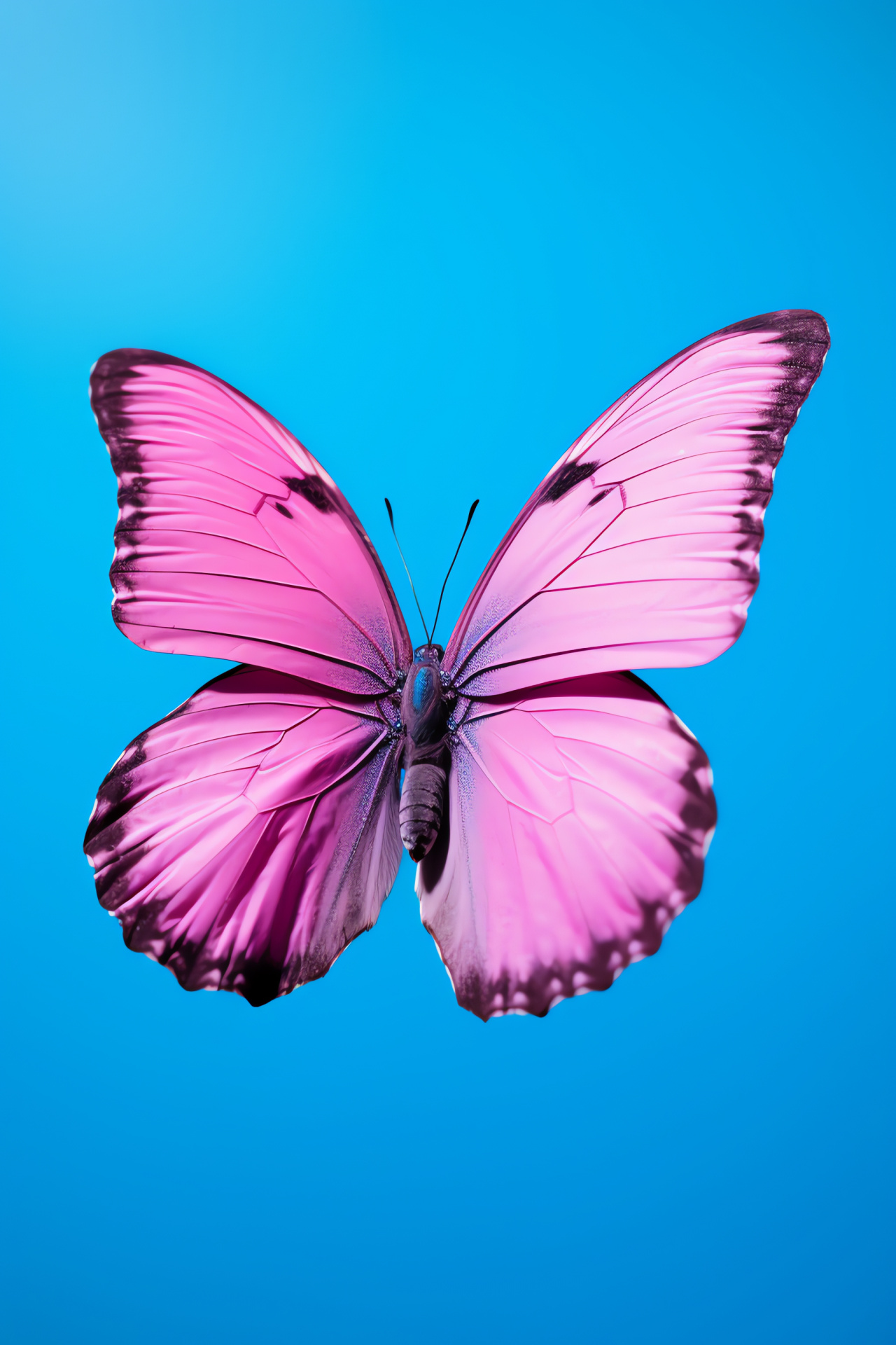 Pink Butterfly, insect in motion, winged insect ascent, blue scenic space, pink wing beauty, HD Phone Image