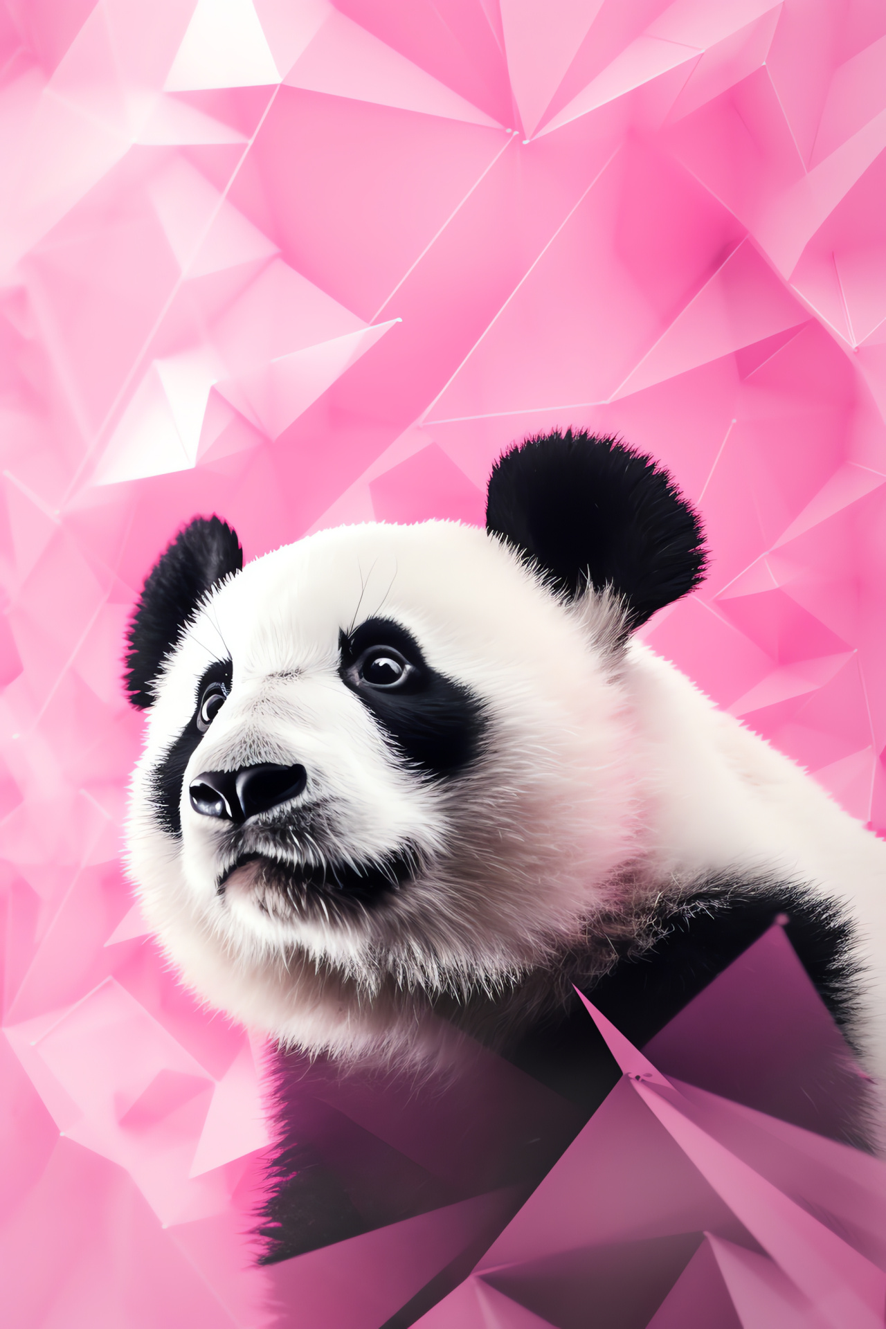 Pink Panda side profile, vibrant fur patterns, creative wildlife, Asian bear species, tranquil pose, HD Phone Image