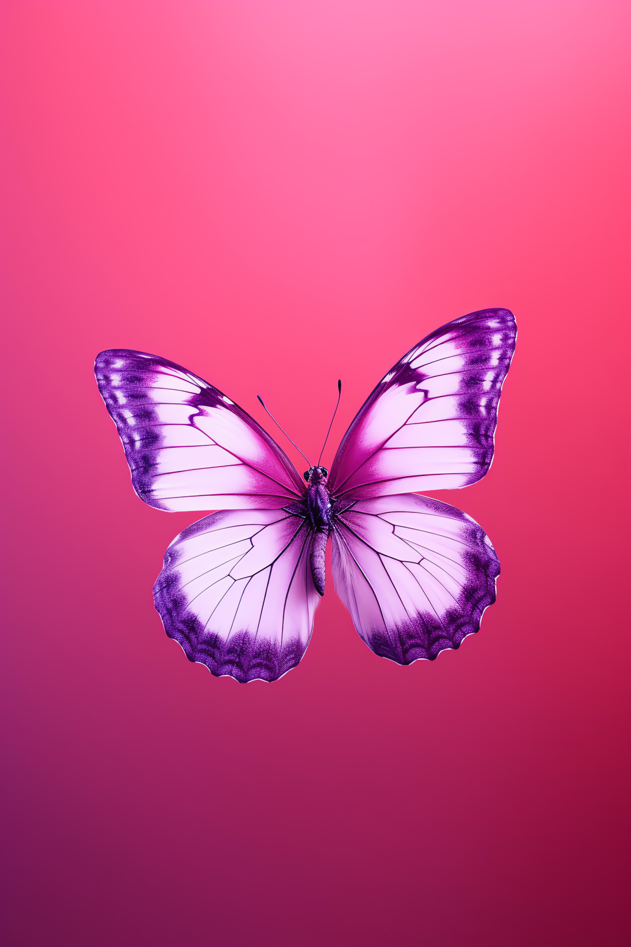 Pink and Purple Butterfly in flight, mid-air grace, lepidopterous beauty, natural hues dynamic, HD Phone Image