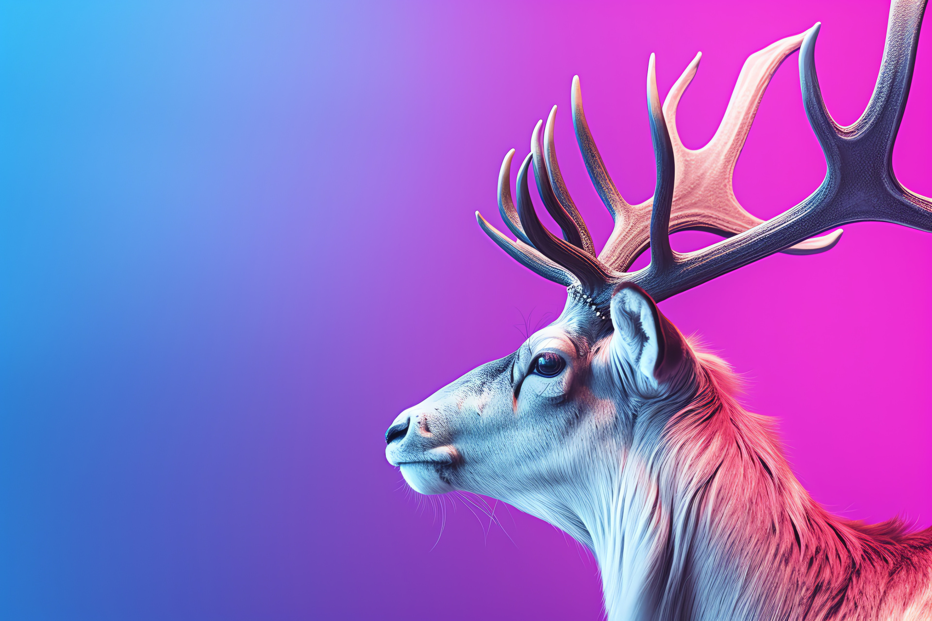 Reindeer profile, Triadic color scheme, Graceful antlers, Fauna elegance, Arctic species, HD Desktop Wallpaper